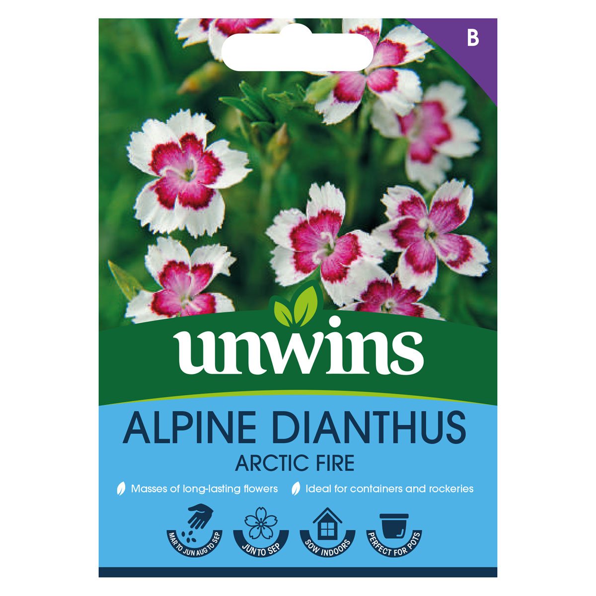 5051618035026 1 Alpine Dianthus Arctic Fire Seeds.jpg
